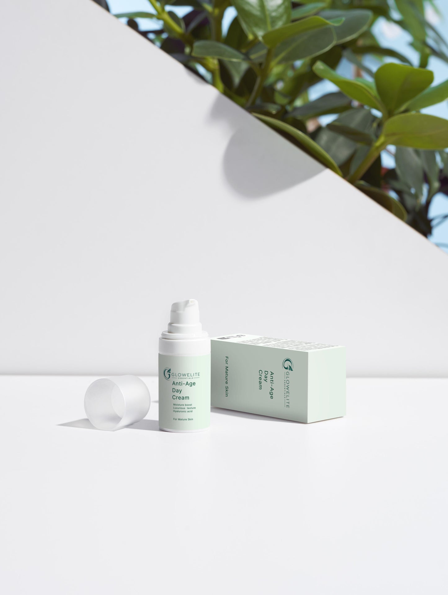 Anti-Age Day Cream