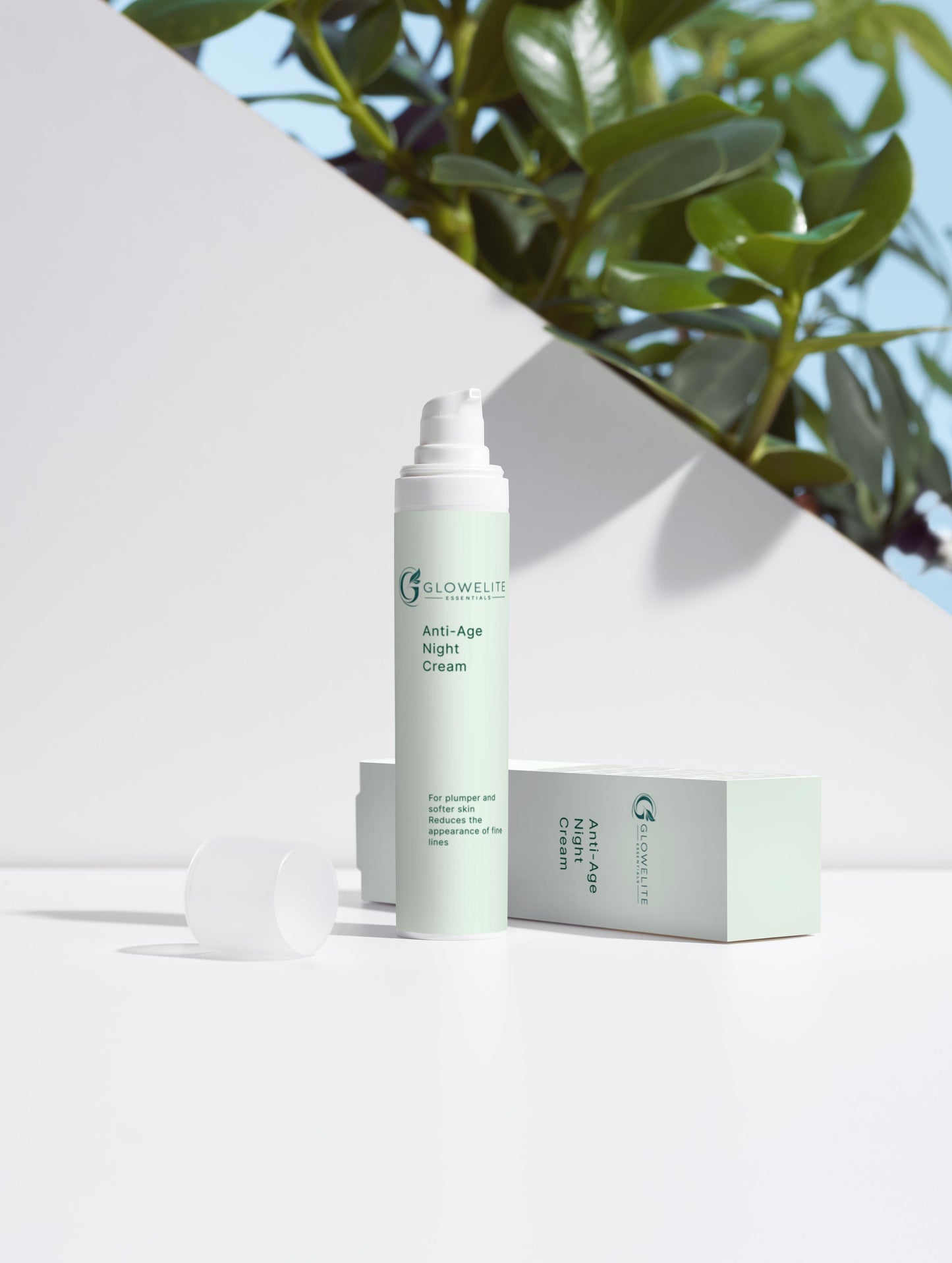 Anti-Age Night Cream