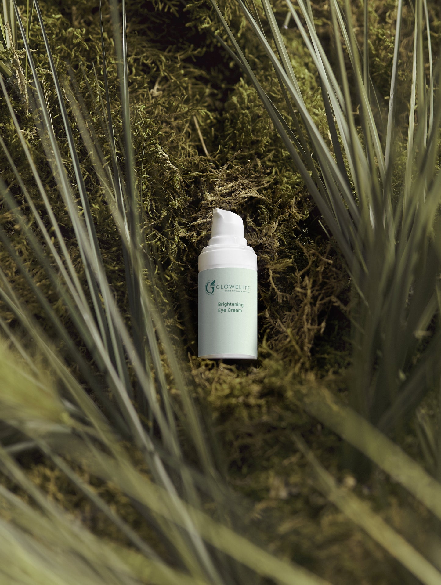 Deep Moisture Collection Box